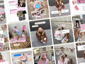 Carrousel Templates